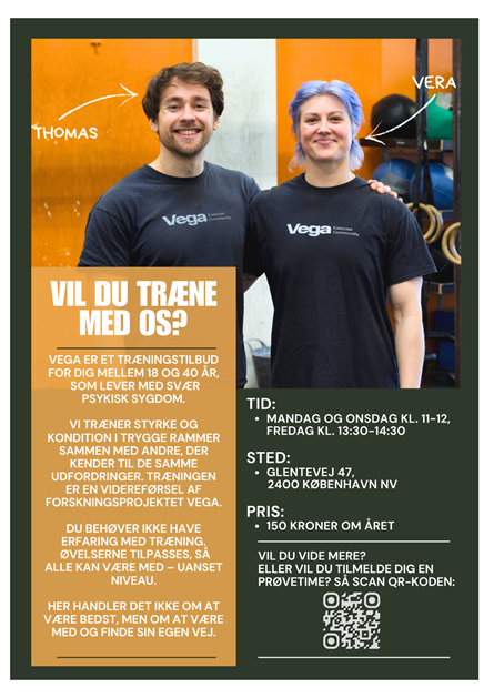Flyer VEGA Projektet